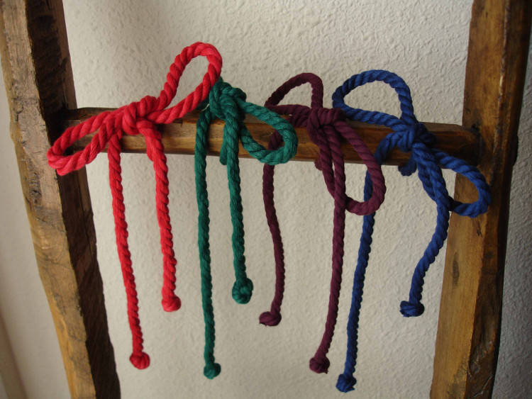 Lazos de invierno 2