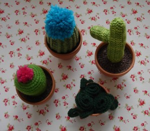 Cactus Belén